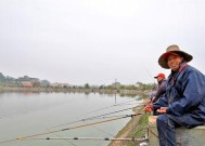 电视钓鱼比赛技巧与方法有哪些？如何提高钓鱼比赛的成绩？