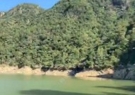 鹅塘钓鱼技巧教程？初学者如何快速掌握？