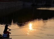 大坝深水夜钓技巧和方法是什么？如何提高夜钓成功率？
