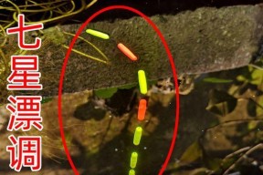 草洞钓鱼调漂技巧是什么？如何有效掌握？