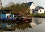 河流钓鱼有哪些方法和技巧？如何提高钓鱼成功率？