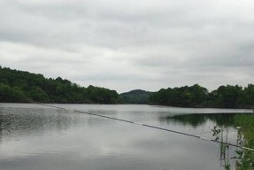 海蛎田钓鱼技巧大全（掌握海蛎田钓鱼技巧）