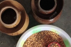 发酵麦子钓鱼技巧有哪些？如何提高钓鱼成功率？
