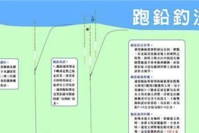 钓鱼小技巧和方法有哪些？如何提高钓鱼成功率？