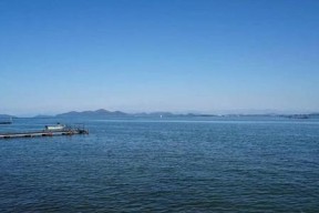 探秘琵琶湖钓鱼技巧（琵琶湖钓鱼技巧与经验分享）