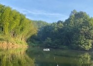 河流中午钓鱼技巧有哪些？如何提高中午钓鱼的成功率？