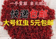 筏竿红虫钓鱼技巧有哪些？如何提高钓鱼成功率？