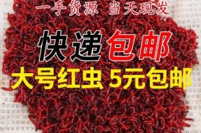 筏竿红虫钓鱼技巧有哪些？如何提高钓鱼成功率？