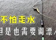 黑坑钓鱼技巧怎么调漂教程？调漂步骤和常见问题解答？