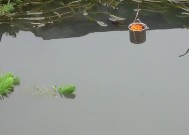 如何掌握钓鱼提钩技巧？提钩技巧教程有哪些常见问题解答？