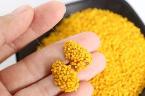 用粘粉钓鱼的技巧（掌握粘粉的要领）