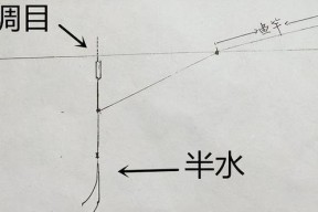 钓鱼调漂技巧大全（掌握调漂的关键，成为钓鱼高手！）