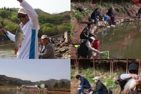 刚立春水库钓鱼技巧有哪些？如何提高钓鱼成功率？