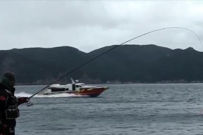 秋冬野钓大鱼的技巧与方法（冬季钓鱼）