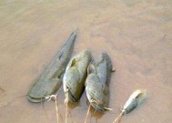 三十多米深海钓鱼技巧是什么？如何掌握这些技巧？