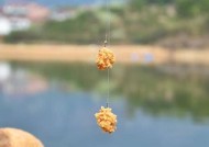 丰城玉龙河钓鱼技巧有哪些？如何提高钓鱼成功率？