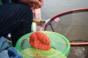 电站流水钓鱼技巧有哪些？如何提高钓鱼成功率？