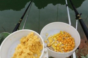 如何正确使用钓鱼玉米挂钩技巧？常见错误有哪些？
