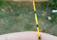 浮漂调钓技巧有哪些？如何快速掌握基本调钓方法？