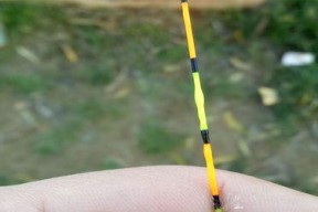 浮漂调钓技巧有哪些？如何快速掌握基本调钓方法？