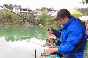钓鱼用饵技巧口诀是什么？如何有效提高钓鱼成功率？