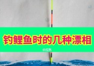 钓鱼技巧浮漂调整方法（提升钓鱼成功率的关键技巧）