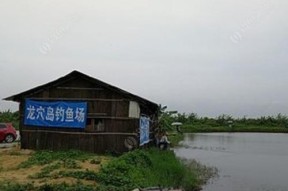 出生岛钓鱼技巧有哪些？如何提高钓鱼效率？