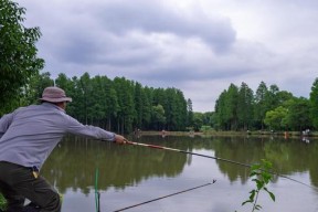 儿童钓鱼最佳方法和技巧是什么？如何培养孩子的钓鱼兴趣？