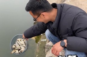 河水钓鱼技巧简单吗？如何快速掌握？