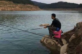 河里凌晨钓鱼技巧有哪些？如何提高夜钓成功率？