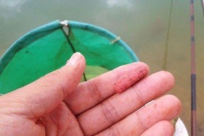 搓饵钓浮的方法和技巧是什么？如何提高钓浮效果？