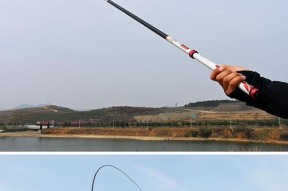 不用杆子钓鱼的技巧是什么？如何提高成功率？