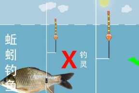 如何掌握钓鱼水深调漂方法和技巧？常见问题有哪些？