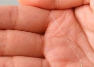 肥水塘钓鱼最佳方法和技巧是什么？如何提高钓鱼效率？