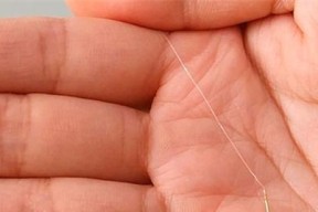 肥水塘钓鱼最佳方法和技巧是什么？如何提高钓鱼效率？
