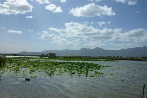 野鸭湖钓鱼技巧与方法（探秘钓鱼乐趣）