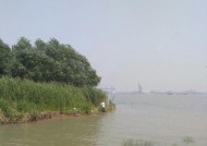 河里涨水天钓鱼技巧是什么？如何应对涨水天气钓鱼？