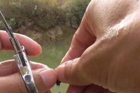 钓鱼调漂技巧和方法教程？如何快速掌握钓鱼调漂？