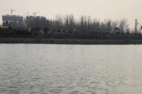 常用的江河钓鱼技巧有哪些？如何提高钓鱼成功率？
