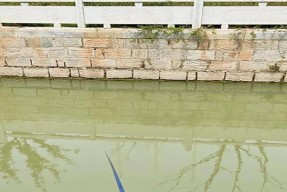 河里钓鱼要打窝技巧是什么？如何正确打窝提高钓鱼成功率？