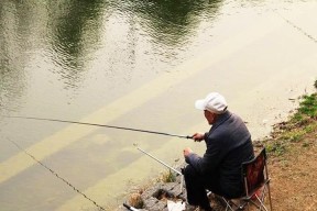 河边野钓打窝的技巧与方法（享受自然的乐趣）