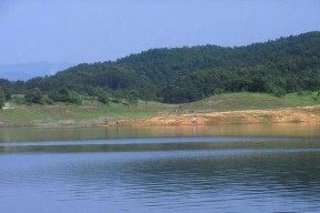 东季水库钓鱼技巧（享受钓鱼乐趣的选择）