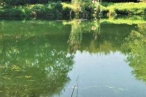 夏日高温钓鱼技巧（畅享炎炎夏日）