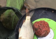 大暴雨后钓鱼技巧是什么？如何应对极端天气条件下的垂钓挑战？
