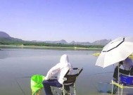 中年人钓鱼技巧大全（享受钓鱼乐趣）