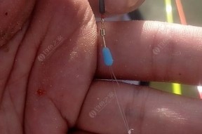 沉底钓马口技巧有哪些？如何提高钓马口的成功率？