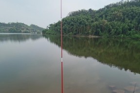 寒露季节野钓鱼技巧（寒露钓鱼技巧）