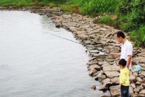 河边桥下钓鱼的技巧与方法（河边桥下钓鱼）