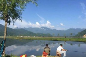 冰帘洞下钓鱼技巧是什么？如何提高冰钓成功率？