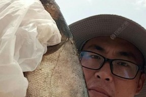 如何掌握钓海鱼的浮标技巧？常见问题有哪些？